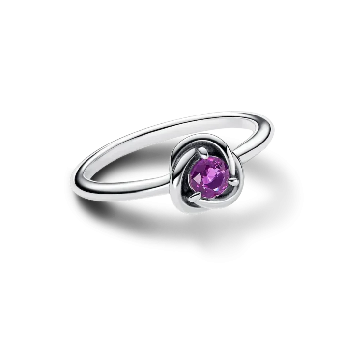 February Purple Eternity Circle Ring - Image 4