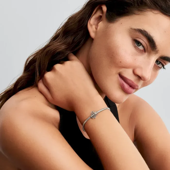 Disney x Pandora Mickey and Friends Full Collection Set - Image 22