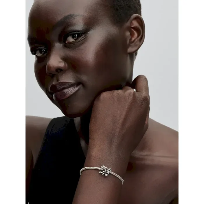 Disney x Pandora Mickey and Friends Full Collection Set - Image 18