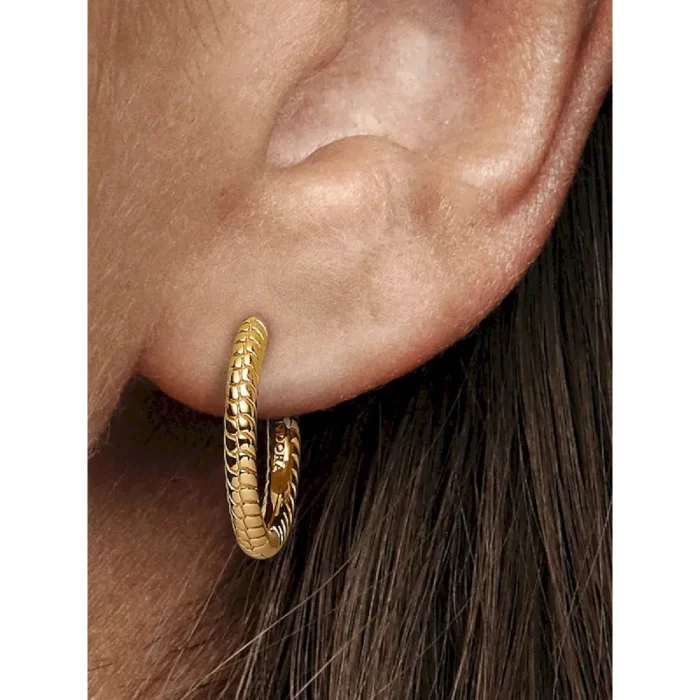 Pandora Moments Small Charm Hoop Earrings - Image 3