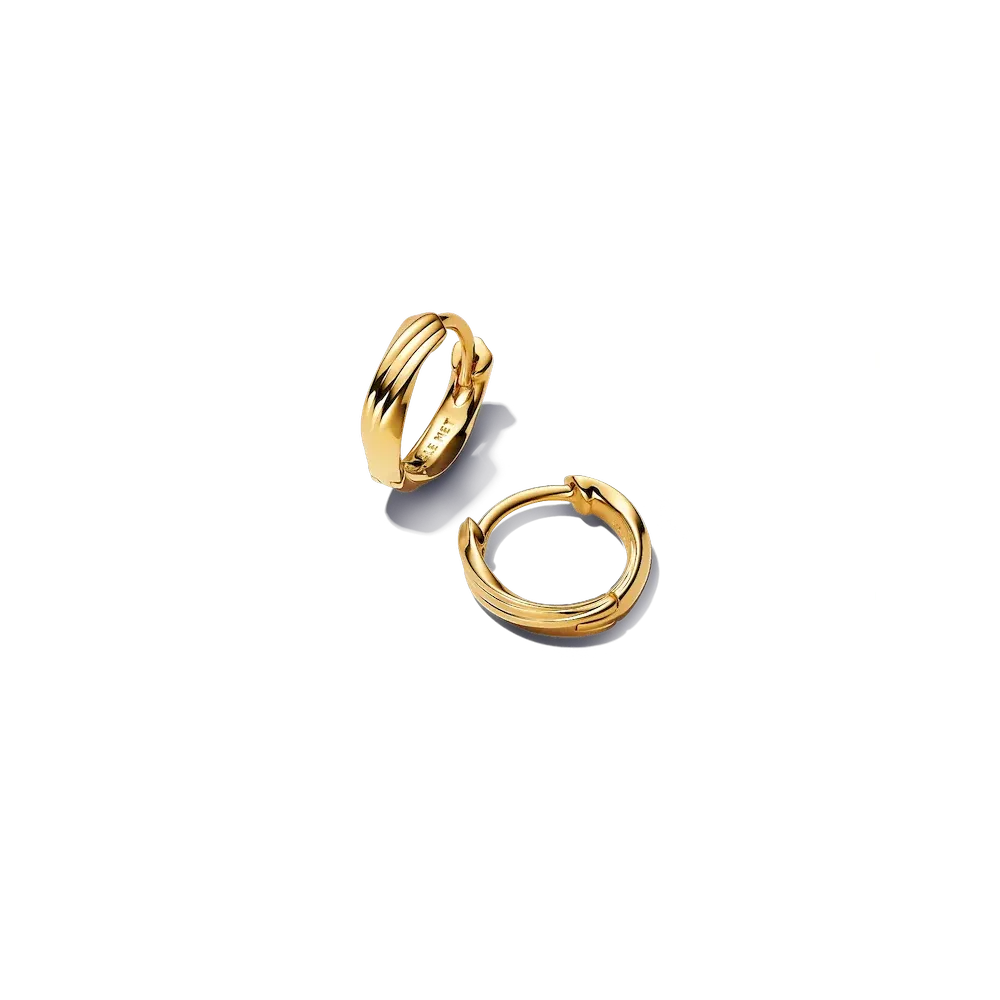 Twisted Huggie Earrings