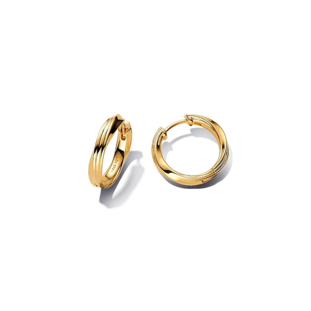 Twisted Hoop Earrings