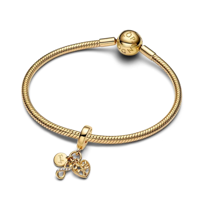 Family Infinity Triple Dangle Charm - Image 2