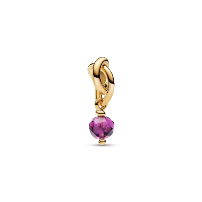 February Engravable Dangle Charm Necklace Set - Image 2