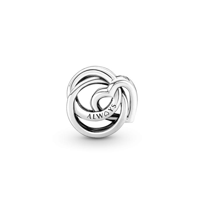 Family Always Encircled Heart Charm - Image 6