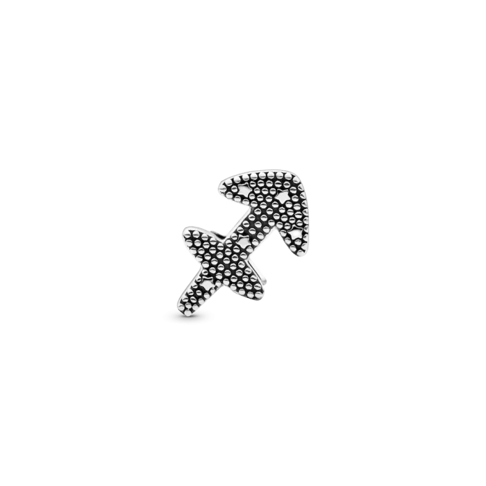 Sparkling Sagittarius Zodiac Charm - Image 2