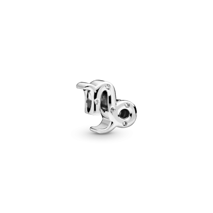 Capricorn Zodiac Charm Bracelet Set - Image 3