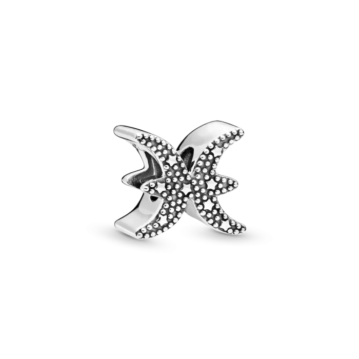 Pisces Zodiac Charm Bracelet Set - Image 13