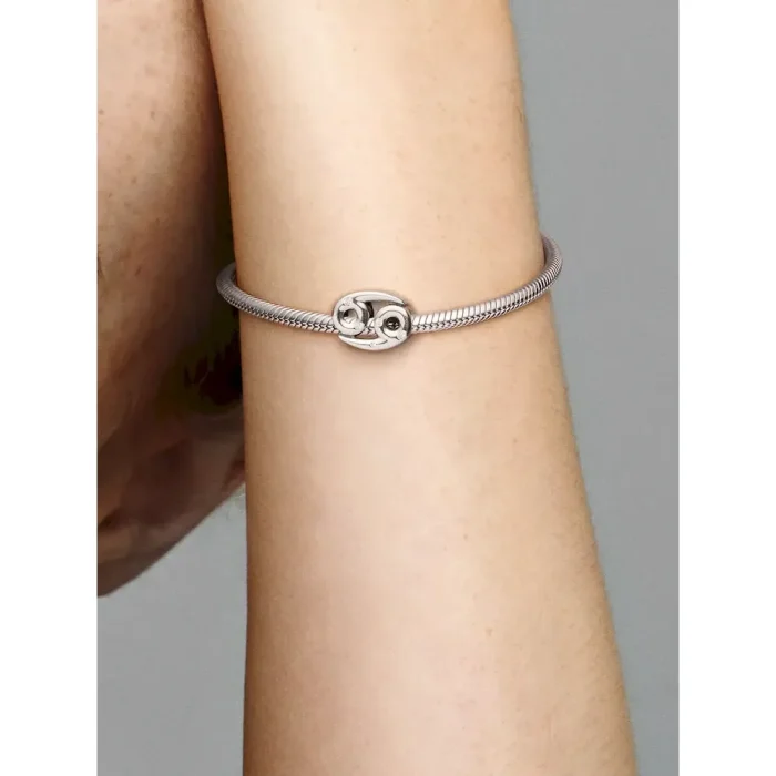 Sparkling Cancer Zodiac Charm - Image 2