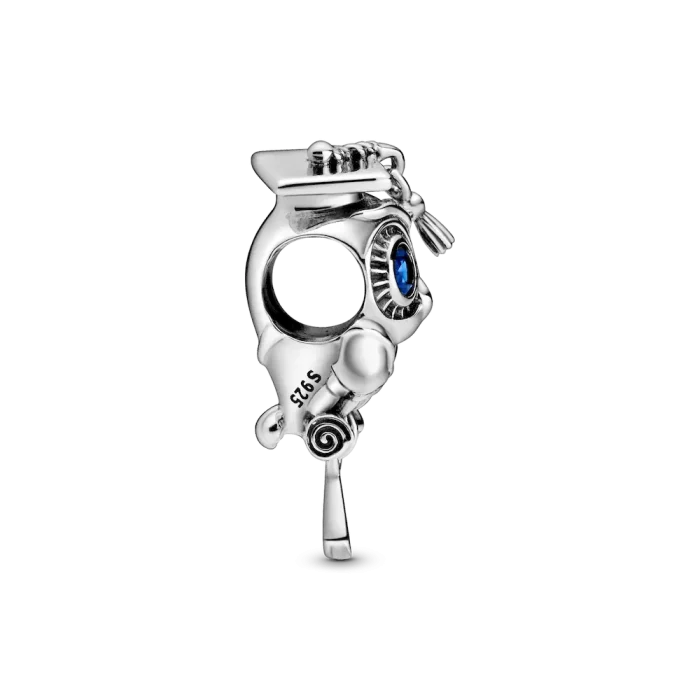 Wise Owl Graduation Charm - Image 5