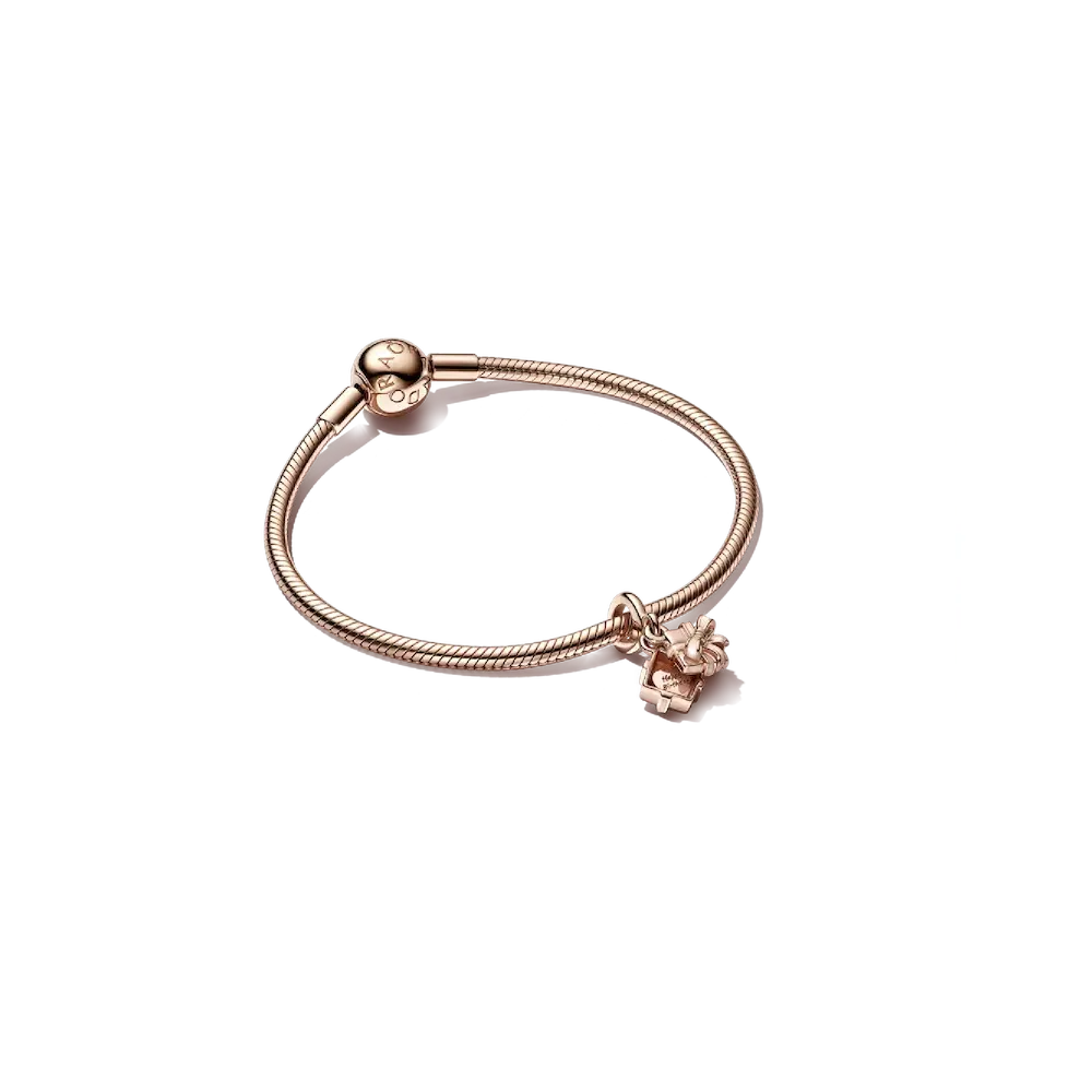Openable Birthday Gift Charm & Bracelet Set