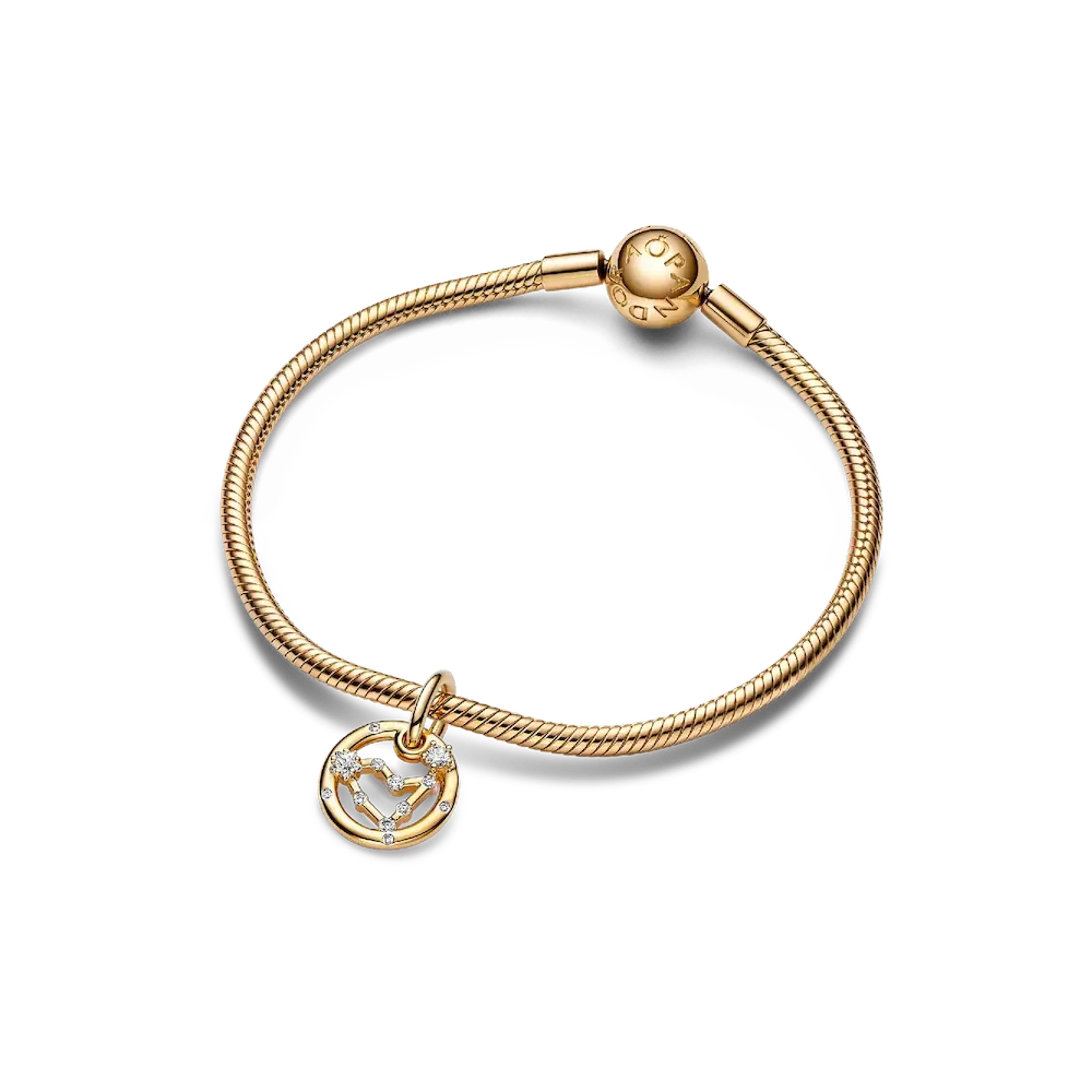 Capricorn Zodiac Dangle Charm Bracelet Set