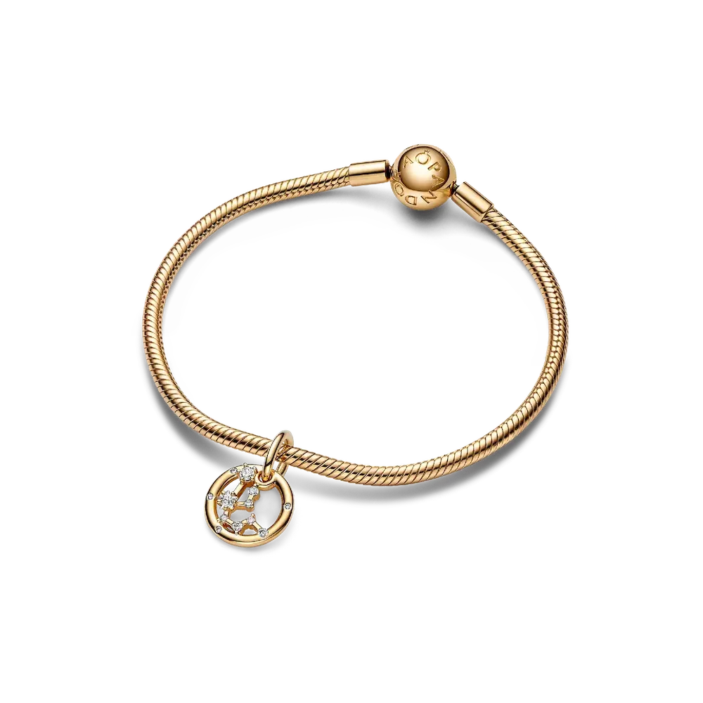 Aquarius Zodiac Dangle Charm Bracelet Set