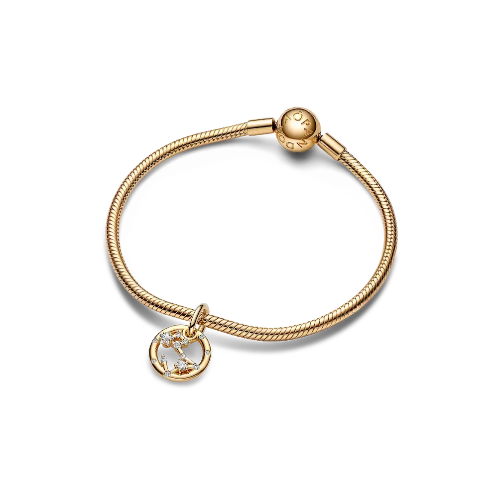 Pisces Zodiac Dangle Charm Bracelet Set