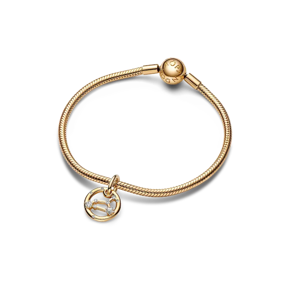 Leo Zodiac Dangle Charm Bracelet Set