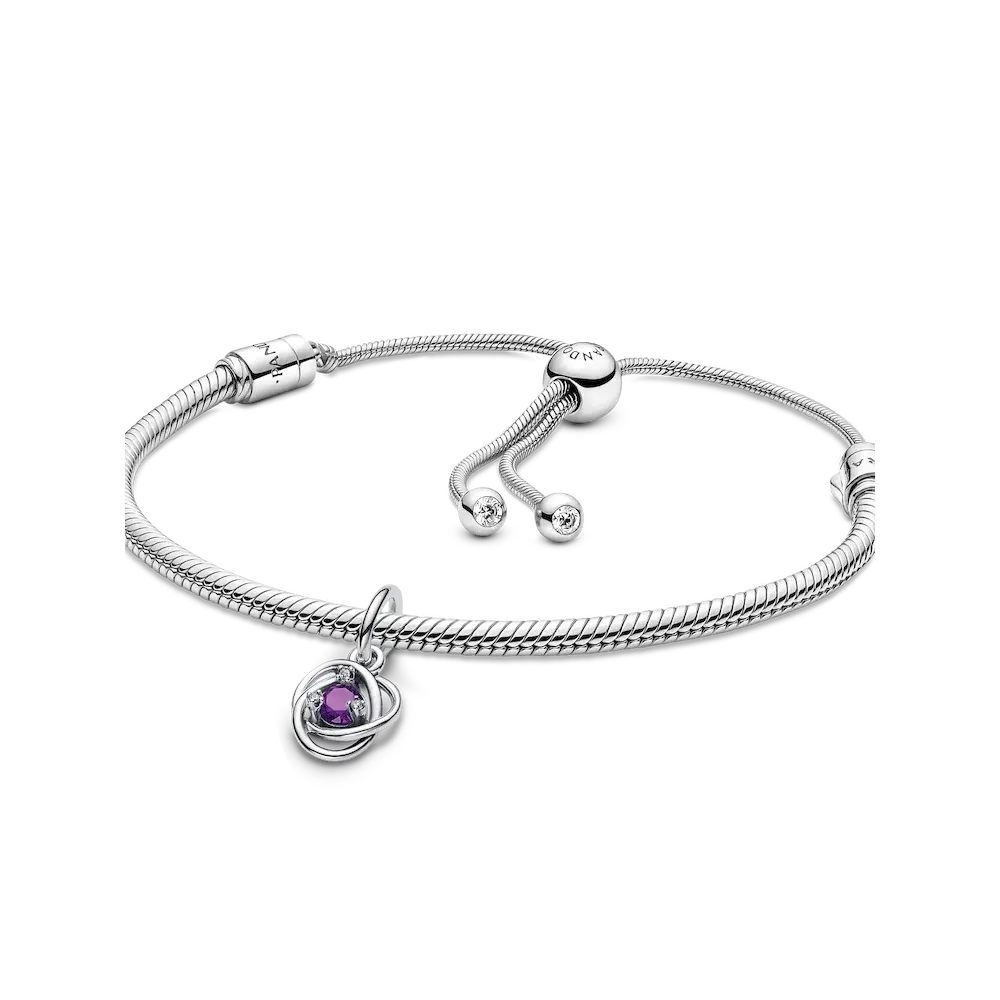 February Eternity Circle Dangle Charm Bracelet Set