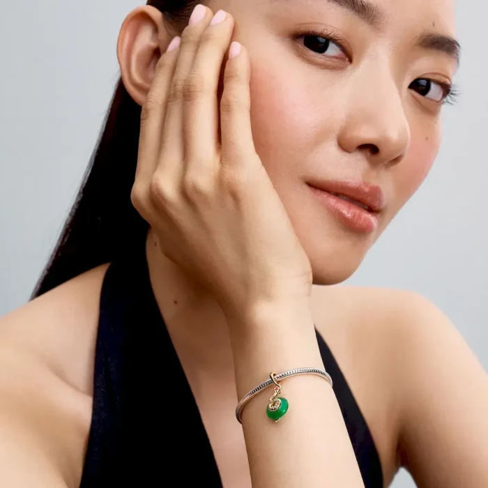 Lunar New Year Snake Clasp & Chain Charm Bracelet Set - Image 7