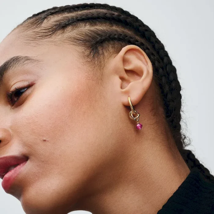 Pandora Moments Small Charm Hoop Earrings - Image 6